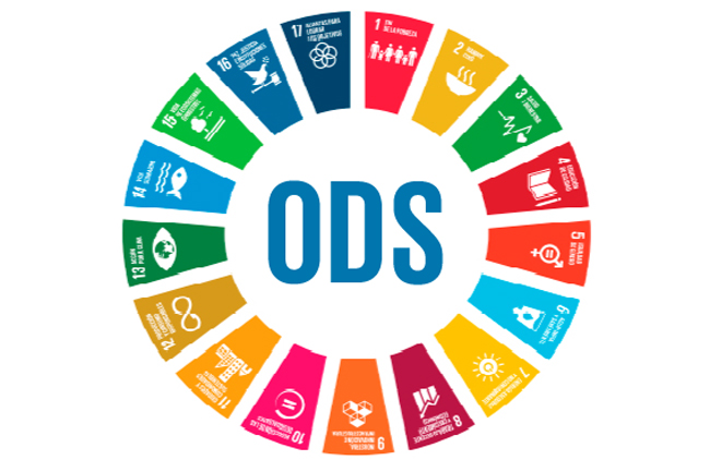 sosteniblesugr's tweet photo. Hoy nuestra recomendaciones para sobrellevar el confinamiento son los contenido audiovisual relacionado con la Agenda 2030 y los ODS que ofrece RTVE a la carta

https://t.co/EljKY2YzsK

#quedateencasa @CanalUGR @UGRenCasa https://t.co/8tiCUNzfNe