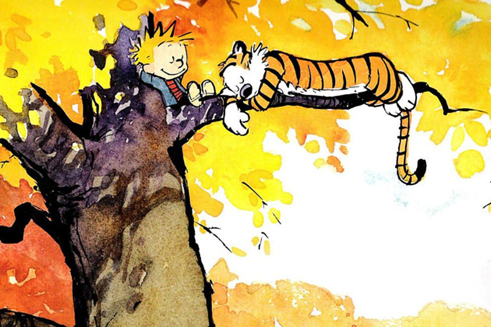 Calvin and Hobbes Fan Account tweet media