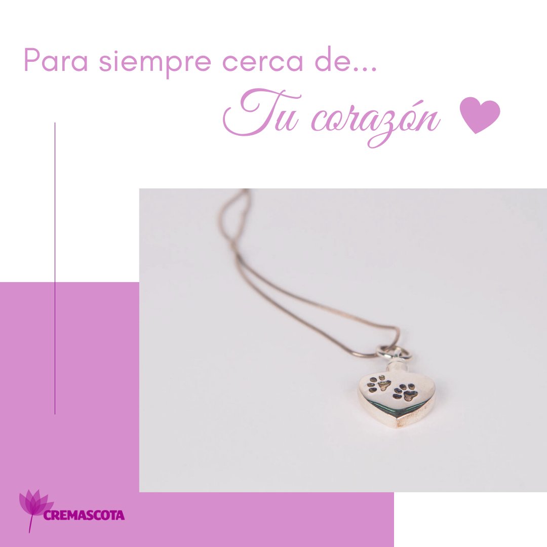 Cremascota's tweet photo. Si quieres, puedes elegir llevar siempre a tu compañero🐶 de vida en el corazón.💜 Este y otros colgantes están disponibles en nuestra web: https://t.co/ITsEOXix7X https://t.co/HTAeR2MX8Y