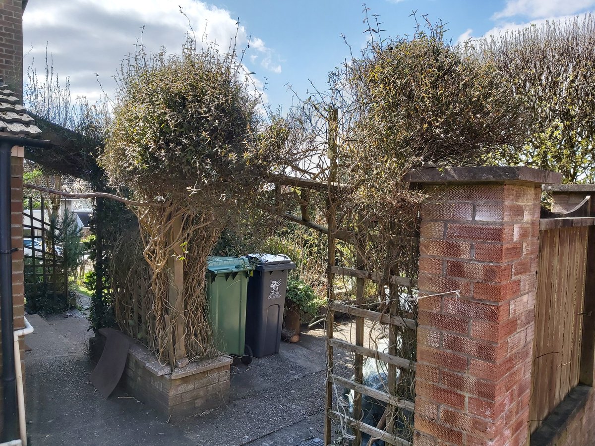 littlenicholls's tweet photo. I could be here a while....
#gardengalore #primroses #jasminearch https://t.co/CIR0NWCZB1