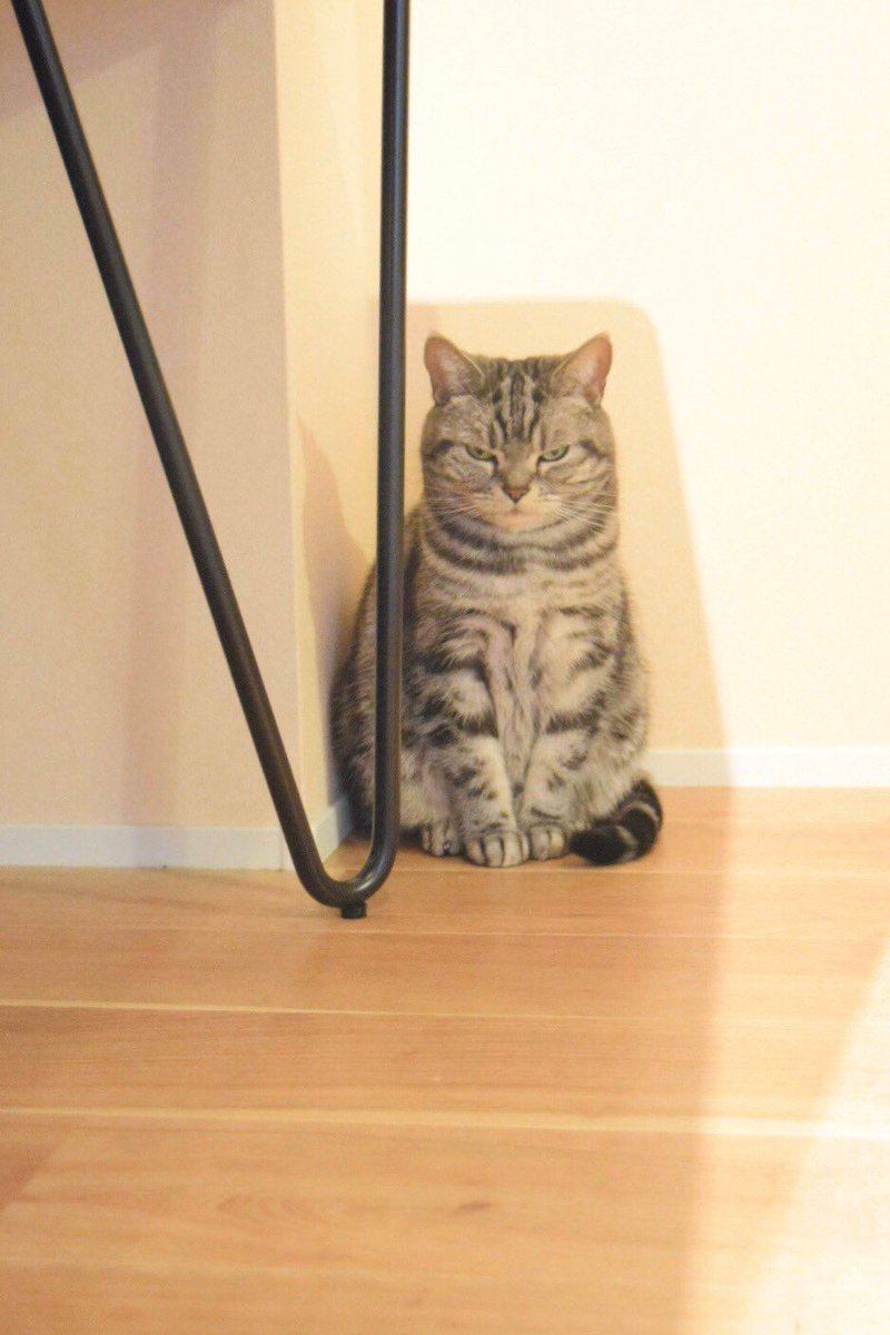 9GAG's tweet photo. "What's wrong?"
Me: Nothing.
Also me:

📸 @zawakoz https://t.co/JBqqJ9yd4r