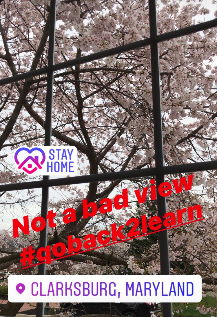 Thomas4Leaders's tweet photo. Day 2 and my office view has changed. My day is filled with virtual meetings, PDO training, and checking in with staff. ๐พโค๏ธ #QOback2learn https://t.co/AGmpPPHtrQ