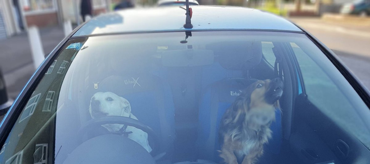 Cambs Police 💙 tweet media