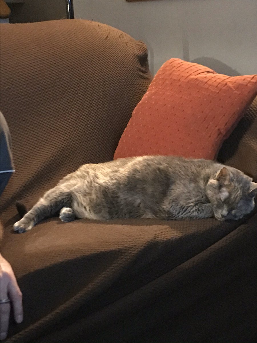 Hermione Rose is keeping me company while we are apart. I miss my young friends and hope you are all well and being safe.