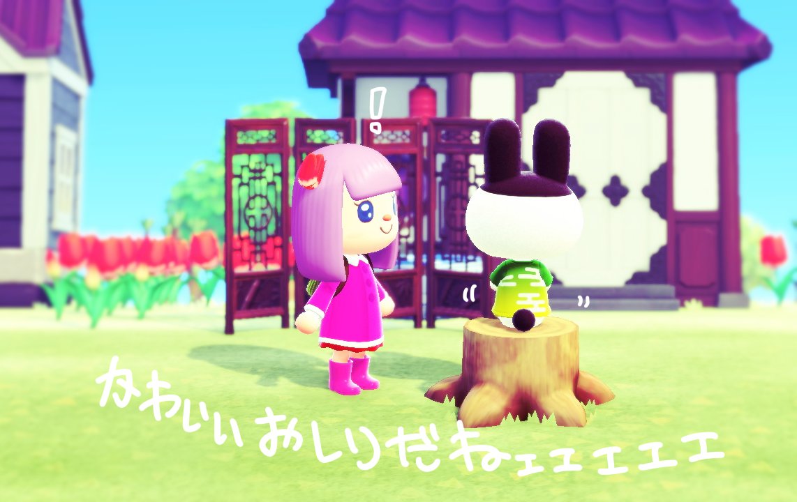 ねこクラゲ 薬屋 巻発売中 בטוויטר とび森こねじろう村長で使ってた髪型がなかったから 今回あつ森そめにしき島へはつむちゃんに行ってもらってます まだ始めたてでなかなか時間もとれなくて初期家具のおうちだけど ゲンジくんの写真を撮って満足してる日々