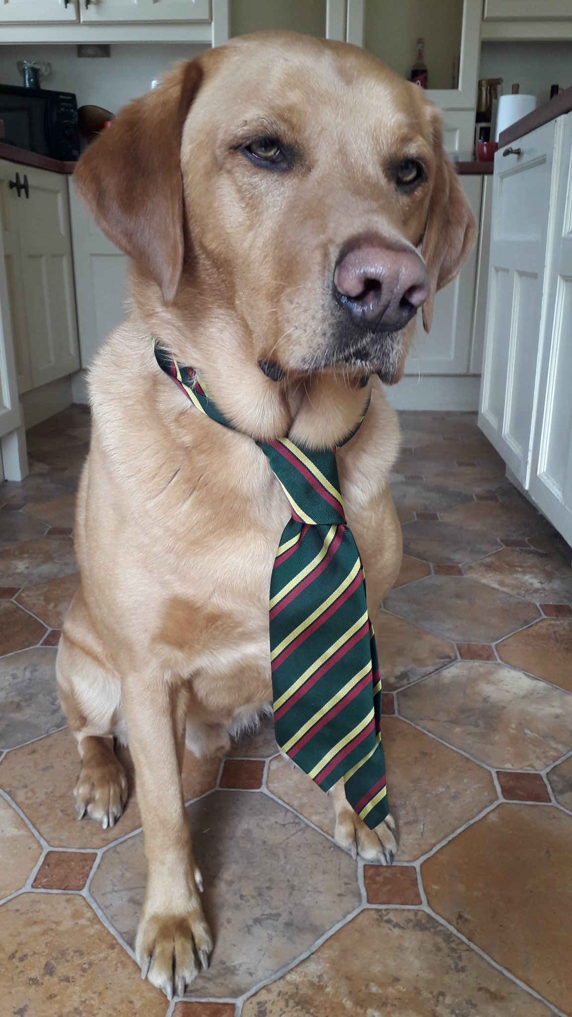 Country Frames Gallery on Twitter "Bailey's tip.... when joining in