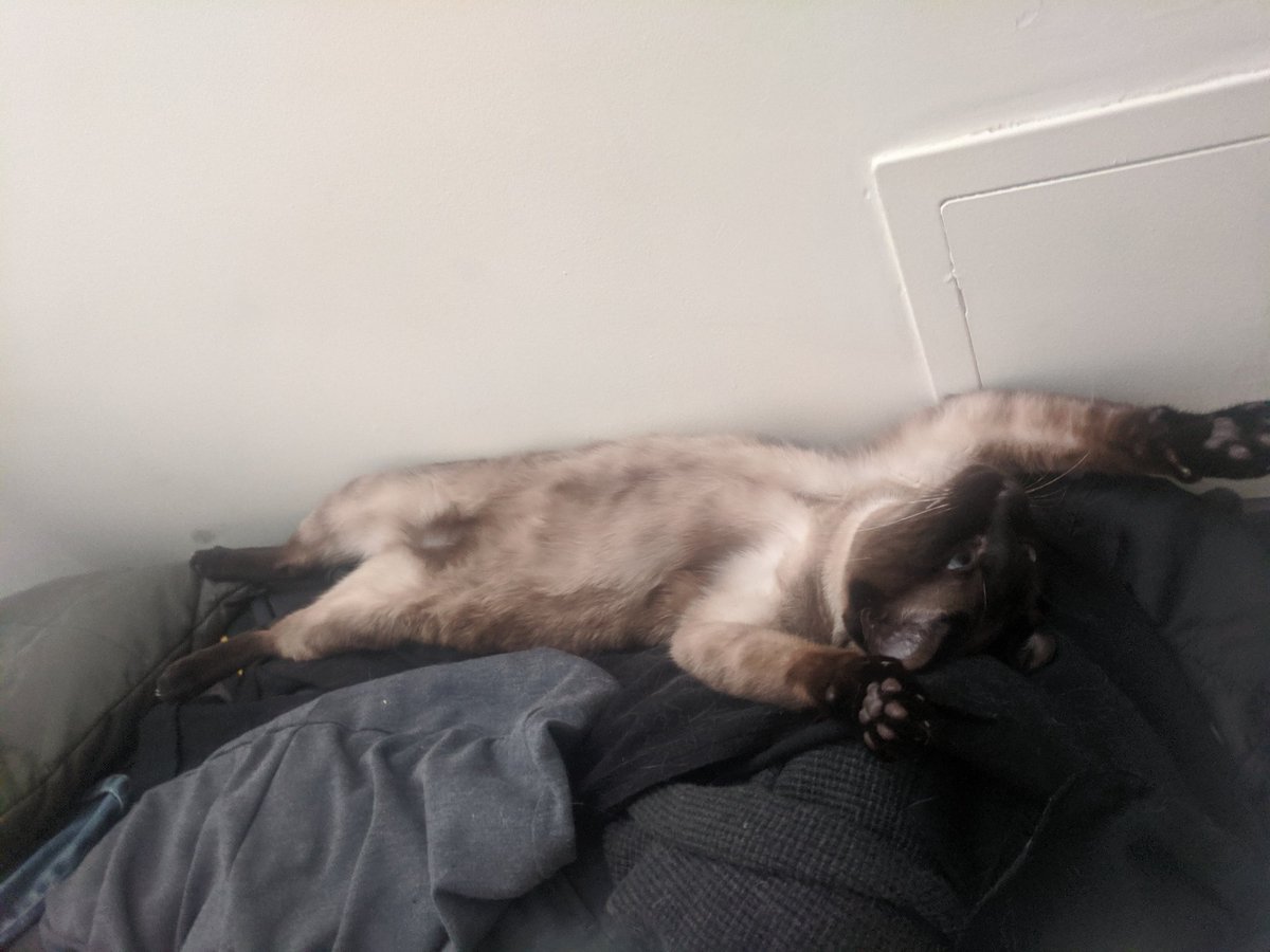 Transformless's tweet photo. why is he like this https://t.co/CmuLNHD6bx