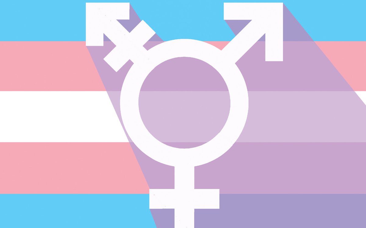 Mario Owiriwa YSJSU tweet media