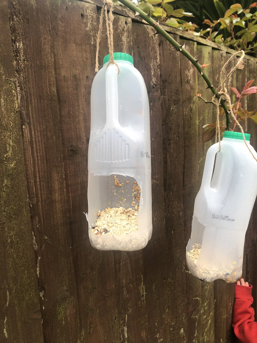 gemma_pidcock's tweet photo. Evie wanted me to share her bird feeders she’s made today 🐥 @JCAWakefield https://t.co/GS4UuyeSLb