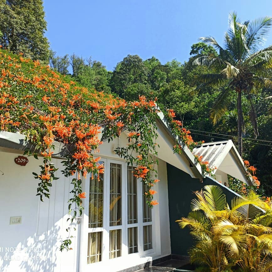 LiveKerala_com's tweet photo. At Munnar Tea Country Resort comprehend well that holidays are for enjoyment. We are committed to give you experiences that will help relax and de-stress. It will help you refresh yourself and forget the routine life. Book Now Call: +91 94977 17353 Call to Resort: +91 90723 15330 https://t.co/WkKO3iXV5J