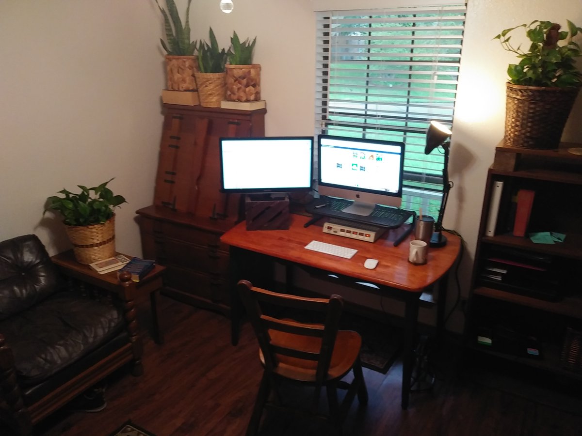 DrEvanLieberman's tweet photo. My coworkers &amp; my home office: Stella is the wise and tenured doggo, Mabel is the plucky new intern, and Sharkus Maximus (Sharkey to his friends) is obviously the boss of all of us. I miss my students and colleagues, but this isn't bad either.  #SpringBreak2020 #HappyHealthyHome https://t.co/iaZM97Xr65