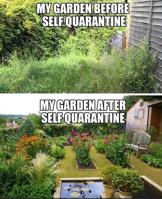 PremierNetting's tweet photo. Who else is feeling the same? 
#PremierNetting #gardening #growyourown https://t.co/JMtvF2PW4d