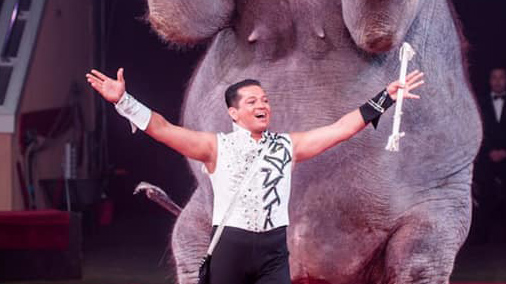 circusfans_ita's tweet photo. Siamo senza parole davanti a una così grande tragedia. A seguito di un tragico incidente ci ha lasciato Christian Gartner, appartenente alla celebre dinastia di addestratori di elefanti. #Circo #circus #cirque #garnter #incidente #inricordodi #zirkus https://t.co/6OaXaPDX30 https://t.co/Mw7pTaTsuN