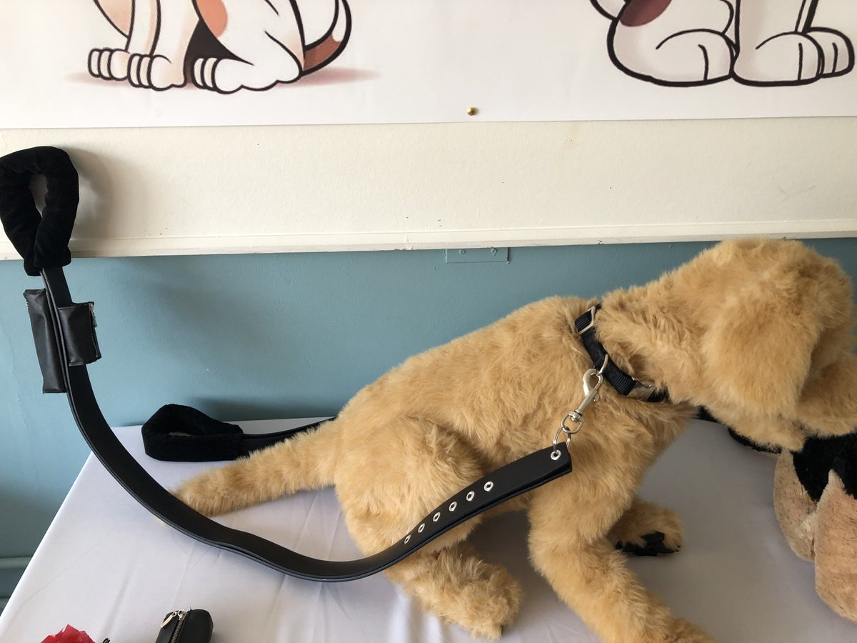 DoggieDouble's tweet photo. Our county final display consists of our products, our 2 dog mascots, a table with all our raw materials to make our product.
Costumes: dog walkers, with designed t-shirts, with our logo on the front &amp; with 'K9 Kompanions' on the back! @KerrySEP @StudentEntProg @PresCisland https://t.co/pFGFzPEXgw