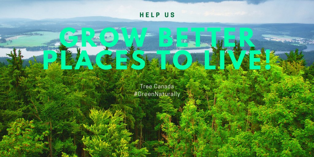 TreeCanada's tweet photo. ๐ธ๐ท๐น #Spring into action and help us grow better places to live! #GreenNaturally #GrowCleanAir
๐ https://t.co/sUrFfWdB8W https://t.co/hNS0MXa7hL
