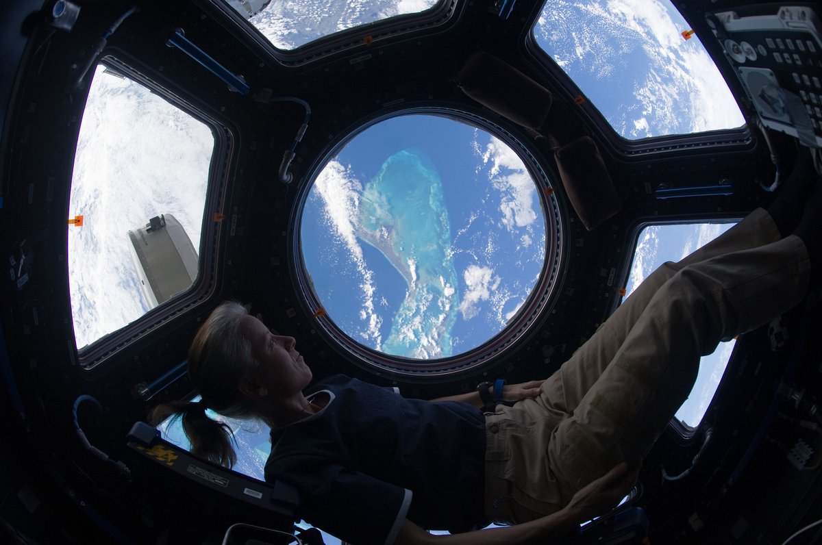 NASAJohnson's tweet photo. NASA astronaut Shannon Walker has been assigned to the first operational crewed flight of @SpaceX's Crew Dragon, bound for the @space_station! 

Pending a successful Demo-2 test, Walker, @Astro_illini, @VicGlover and @Astro_Soichi will launch this year. https://t.co/eYUN1Zt6Y0 https://t.co/Fi4hCEZV3W