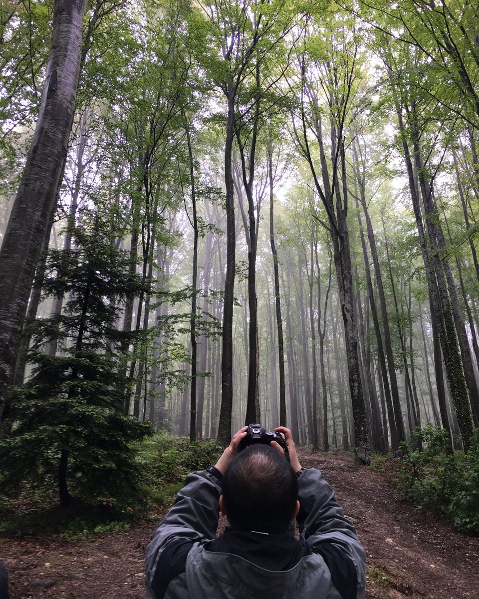 lobagola_com's tweet photo. Every layer of the tree is one year of growth, one cycle of the earth around the sun. We come to forest to remind ourselves that we are part of the same cycle, that we are telling the same story. https://t.co/jofHb3Rjll