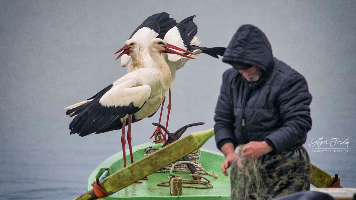 Bu akşam saat 21.00'de Adem Amca ile birlikte canlı yayın yapmayı deneyeceğiz instagramda haberiniz olsun :) soru sormak isteyen varsa bekleriz.