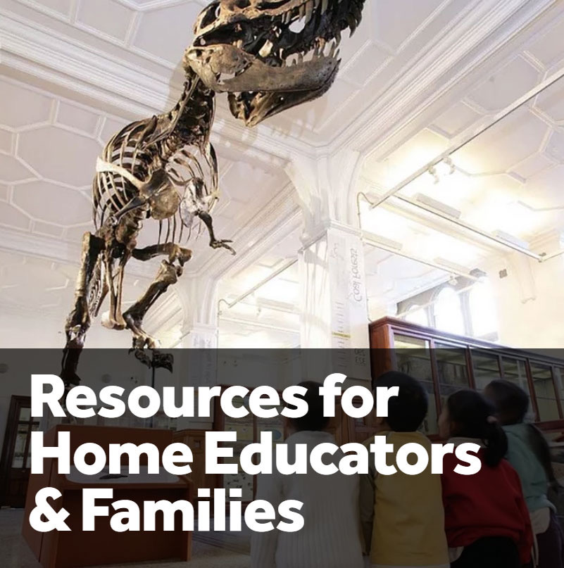 Parents, carers & teachers we've got you covered! We know the next few weeks will be very different, so if you’re home-schooling or want fun activities for the family check out & download our resources for home educators & families here: https://www.mminquarantine.com/resource-for-home-educators-and-fam #MMinQuarantine