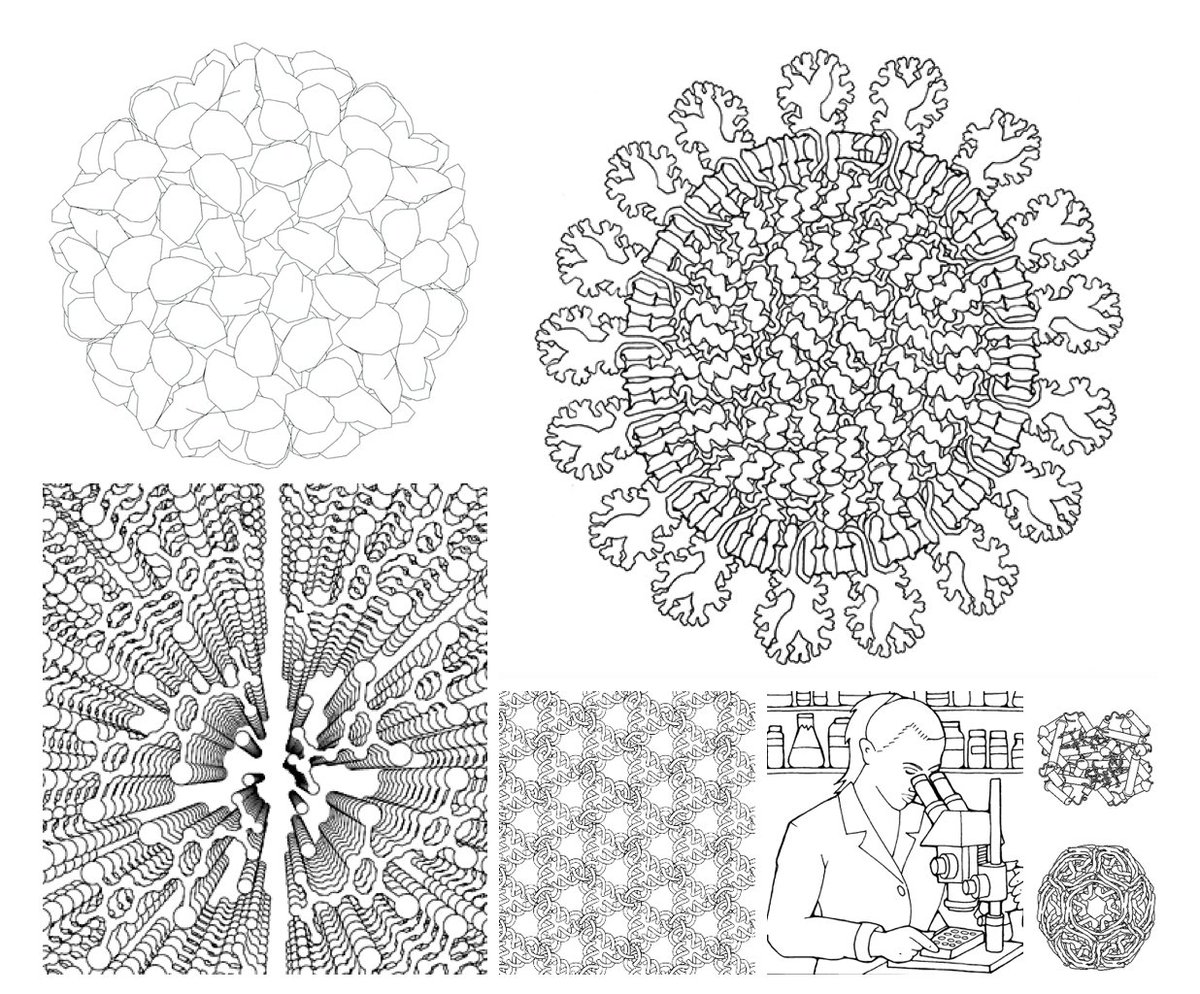 buildmodels's tweet photo. Celebrate #NationalCrayonDay with PDB-101!
Download coloring books for Coronavirus, A Tour of the Protein Data Bank, and Discovering Biology Through Crystallography (with the @ACAxtal ) at https://t.co/ufjfd49cBr https://t.co/4Y3NLCXSr1