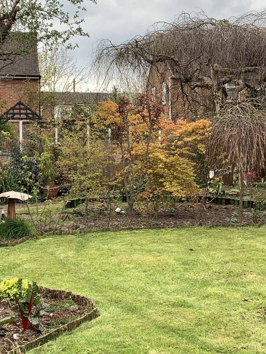 JemsonMrs's tweet image. Out in my garden today #lawnmowed #treecutdown Green bin is full! 🤦🏼‍♀️  The birds are happy though! #nature #springtime