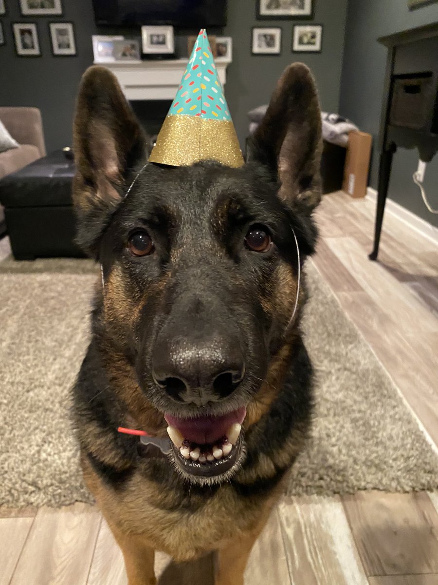 I had my birthday in quarantine. Cannot complain about my guests.