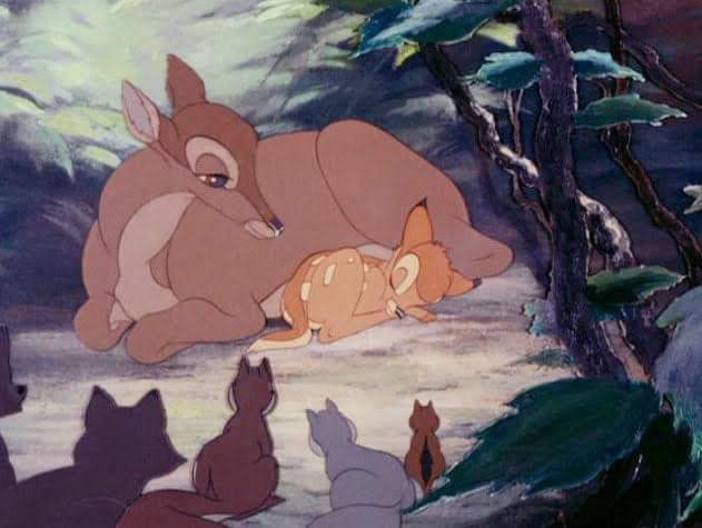 webs2953's tweet photo. #30DayMovieChallenge 
Film that makes me depressed
"Bambi" '42 https://t.co/zWKL8fI6F5