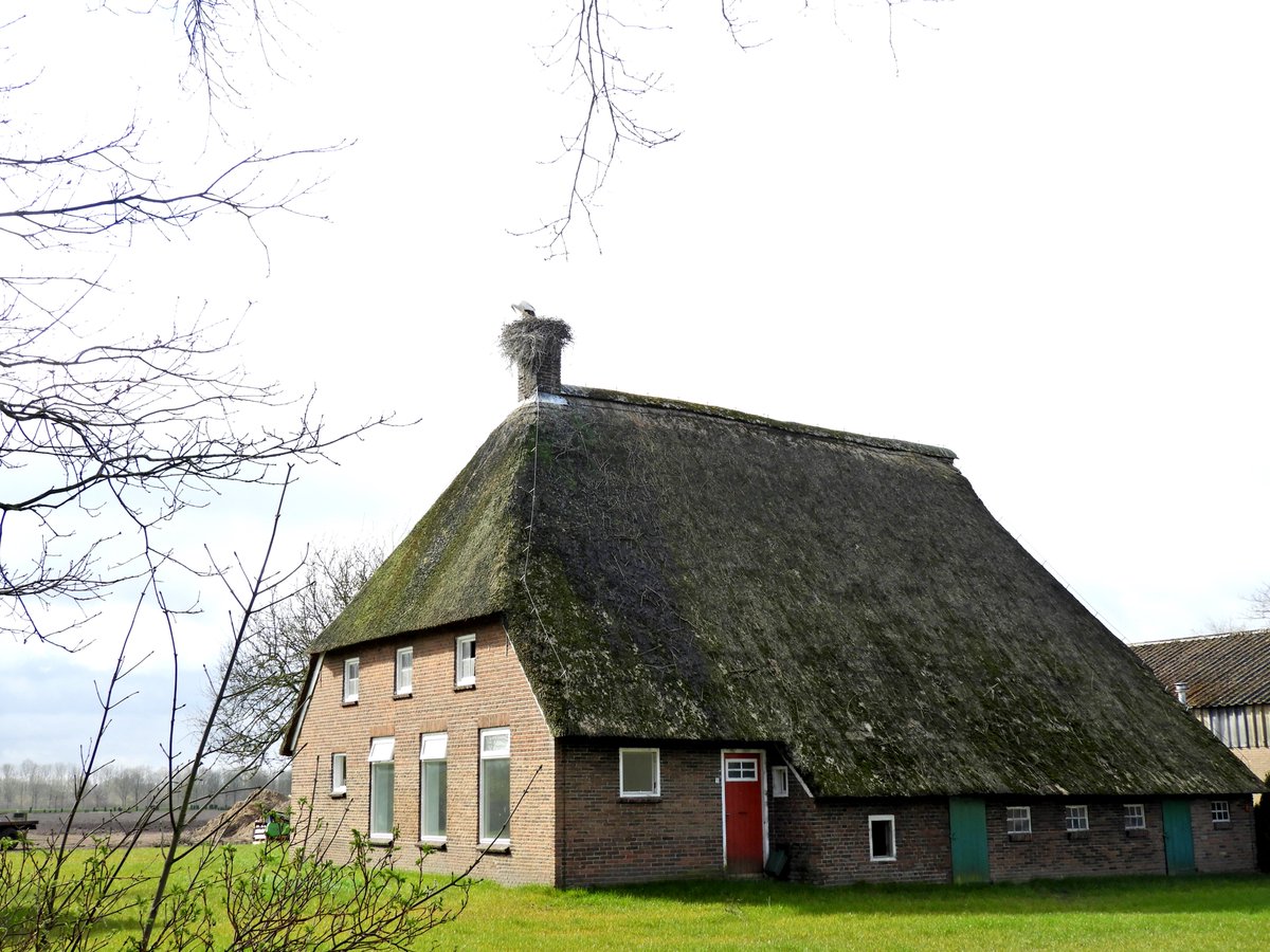Mantingerveld's tweet photo. Ooievaar op schoorsteen Olde Hof 3 Garminge.
#ooievaar #garminge https://t.co/65T8UBv0Z4