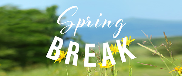 Fly_com's tweet image. Ready for Spring Break? Here’s How to Find the Cheapest Flights

bit.ly/2QXtuzQ

#cheapestflights #bookyourflighttickets #flightdeals