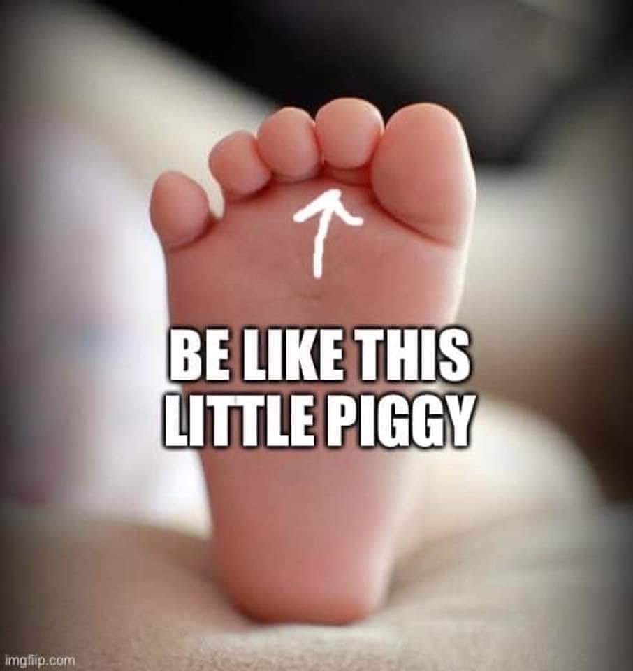 #JustTheTipTuesday

Be like this little piggy. 🐷

#StayHome