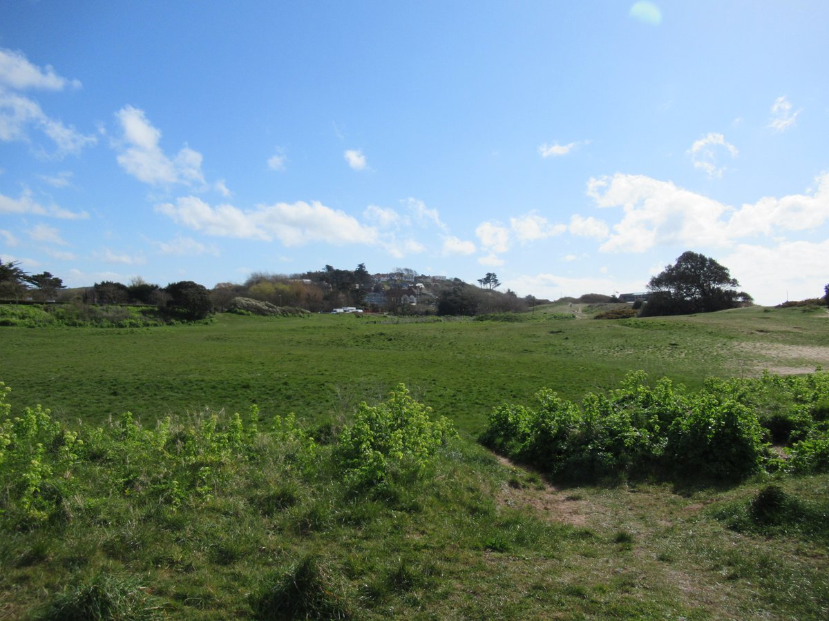 LEveleigh's tweet photo. @wildeastdevon #TheMae #Exmouth #NatureReserve @ExmouthVoice @exmouthjournal #Exmouth #trees #NaturePhotography #nature #naturelover #naturenow This morning, I walked through the local Maer Nature Reserve as part of my daily exercise during this lockdown, on Tuesday 31st March 2020. https://t.co/MK0YOtTpAB