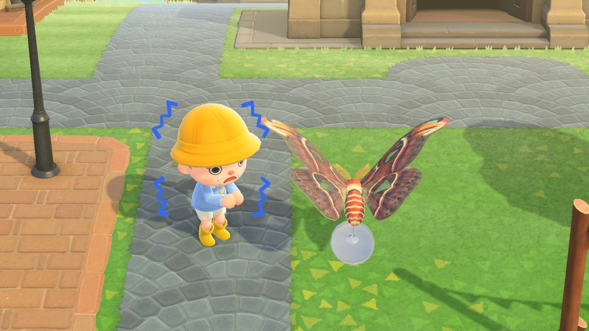 טוויטר もぶ בטוויטר ヨナグニサンの模型でかすぎて怖いw どうぶつの森 Animalcrossing Acnh Nintendoswitch T Co Fvrk9xi3ox