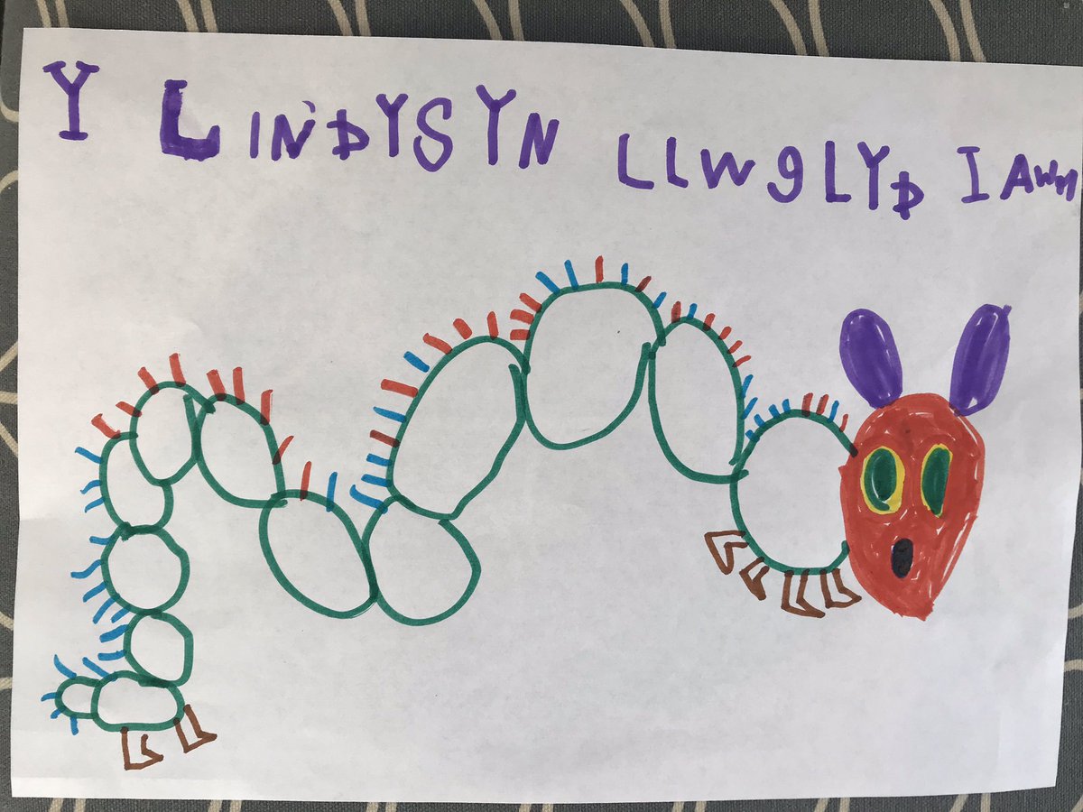 Catrin Pallot tweet media