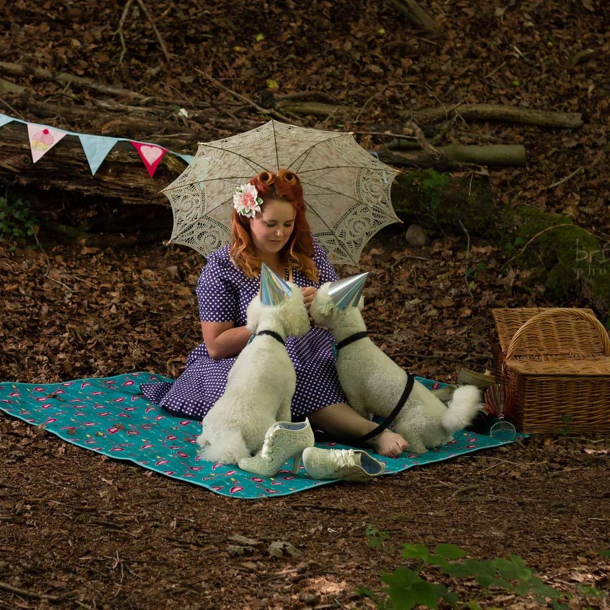 LiliDelFflur's tweet photo. Day 4 of The Pinup Registry challenge #lockdownglowup
We are definitely team dog and this pic is a throw back to last summer 
Photo by @brightrabbitphotography 
Dress @LindyBopDresses
Shoes @IrregularChoice
Picnic blanket @asda https://t.co/tj3igRahPi