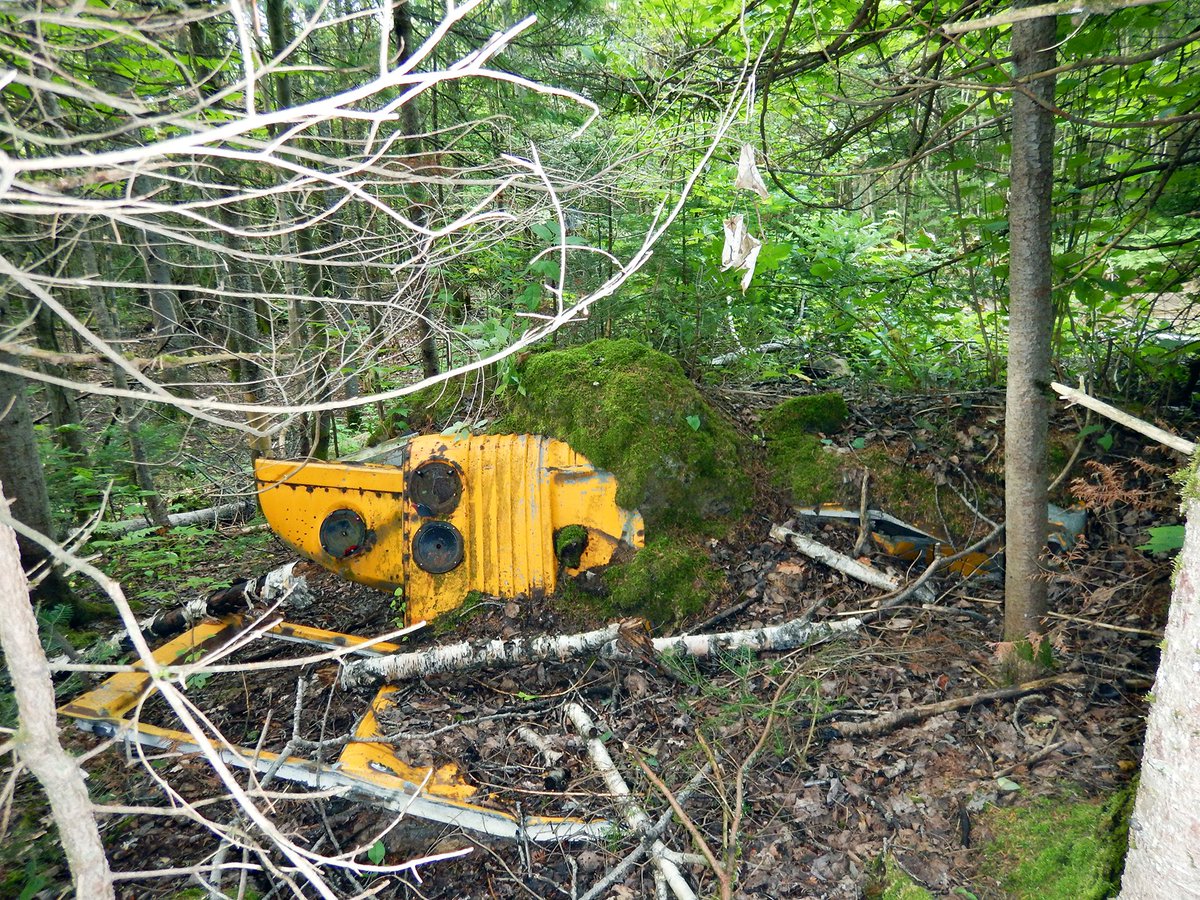 PurNat_org's tweet photo. Believe it or not, but underneath these trees and vegetation lays a 42-foot school bus... To answer your question! Yes, we got it out of the forest in just one day.
#purnat #nature #environment #illegaldumping https://t.co/3RvCGWHgV3