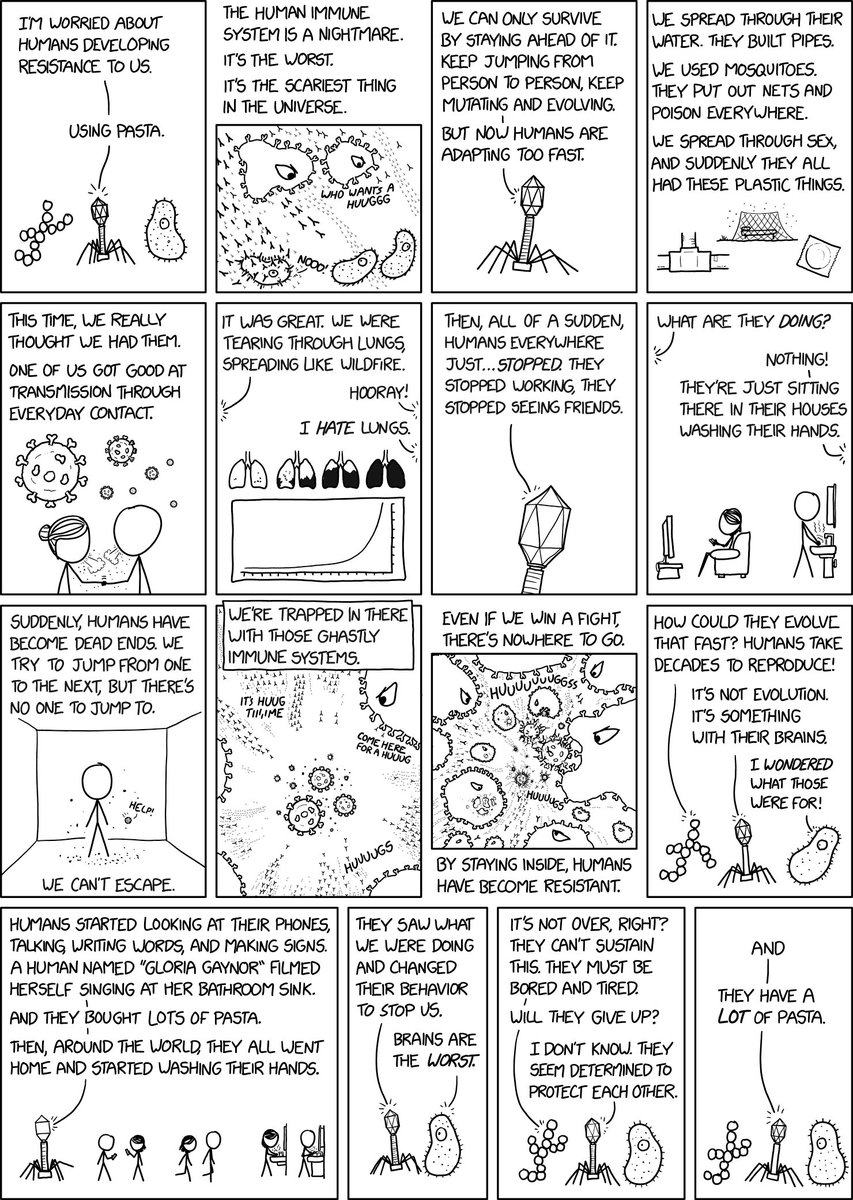 Saro Masbanajian tweet media