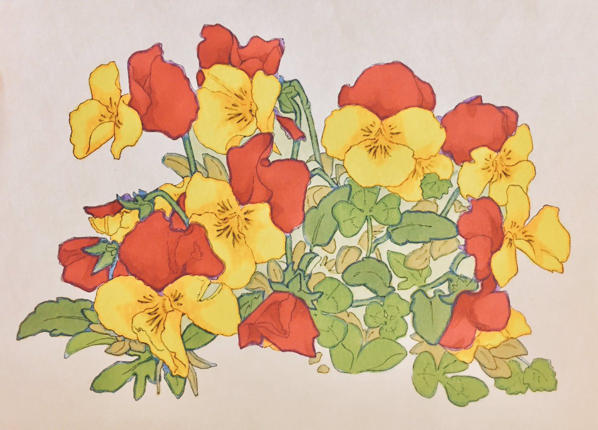 コピックツインズ企画 第32弾 花や植物のイラストを描こう 5ページ目 Togetter