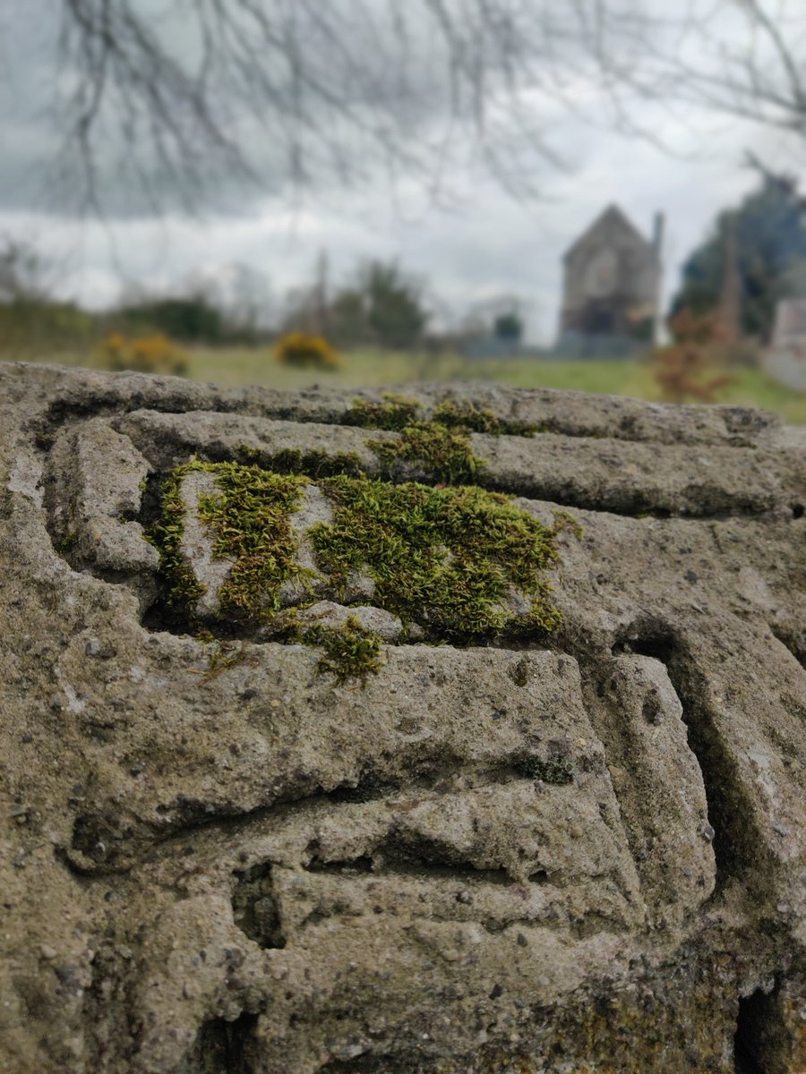 TaraMorganMedia's tweet photo. When you can only take photos #Inside2K ๐
Few quick snaps on the phone during my one cycle today... Hope everyones keeping well โ๐ #KeepItLocal #TheLockdown #TheLockIn #COVID19 #FlattenTheCurve
@PhotosOfDublin @deric_tv @OldeEire @OldDublinTown https://t.co/UXpxTug2DM