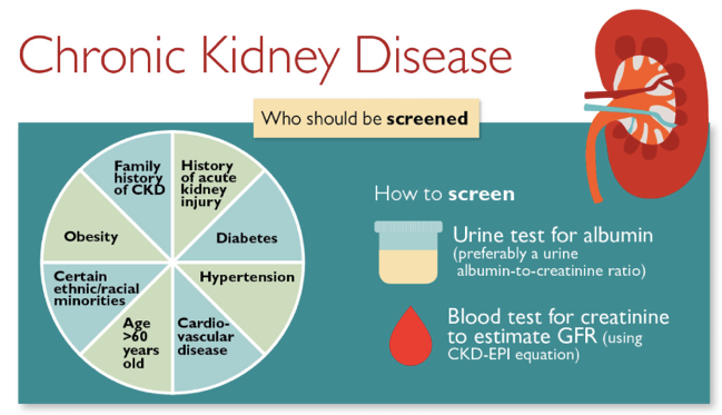 lnkd.in/f_2shZZ

Chronic Kidney disease maybe a causative for renal failure. The patients must screened regularly for monitoring the proper function of the kidney. Covid -19 patients face more risk to infection

#covid19 #covid19us #coronavirus #kidneydisease #kidney