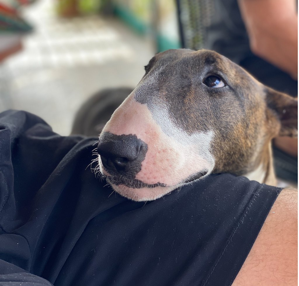 MCCabana's tweet photo. Another day of false hopes yesterday, and stil #StrandedInMexico but we'll make it! Can't give up. Please continue sharing #HelpCarsonGetHome #COVID19 @AirCanada https://t.co/ZZGQO5JTxM