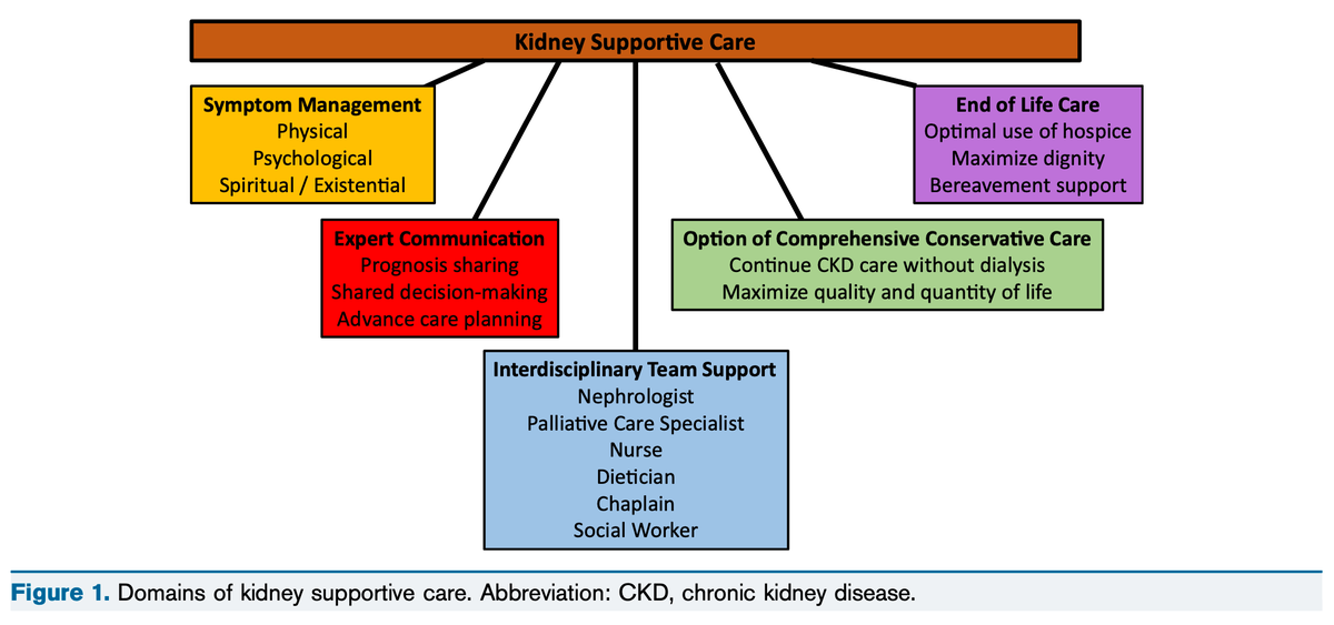 AJKDonline's tweet photo. This Core Curriculum outlines practical applications of kidney supportive care, focusing on the nephrologist’s approach to symptom management, AKI in seriously ill patients, and withdrawal from dialysis https://t.co/wEuxbmDMam (FREE)

@SammyG @HollyMarieMD https://t.co/nYwRYBHAFr
