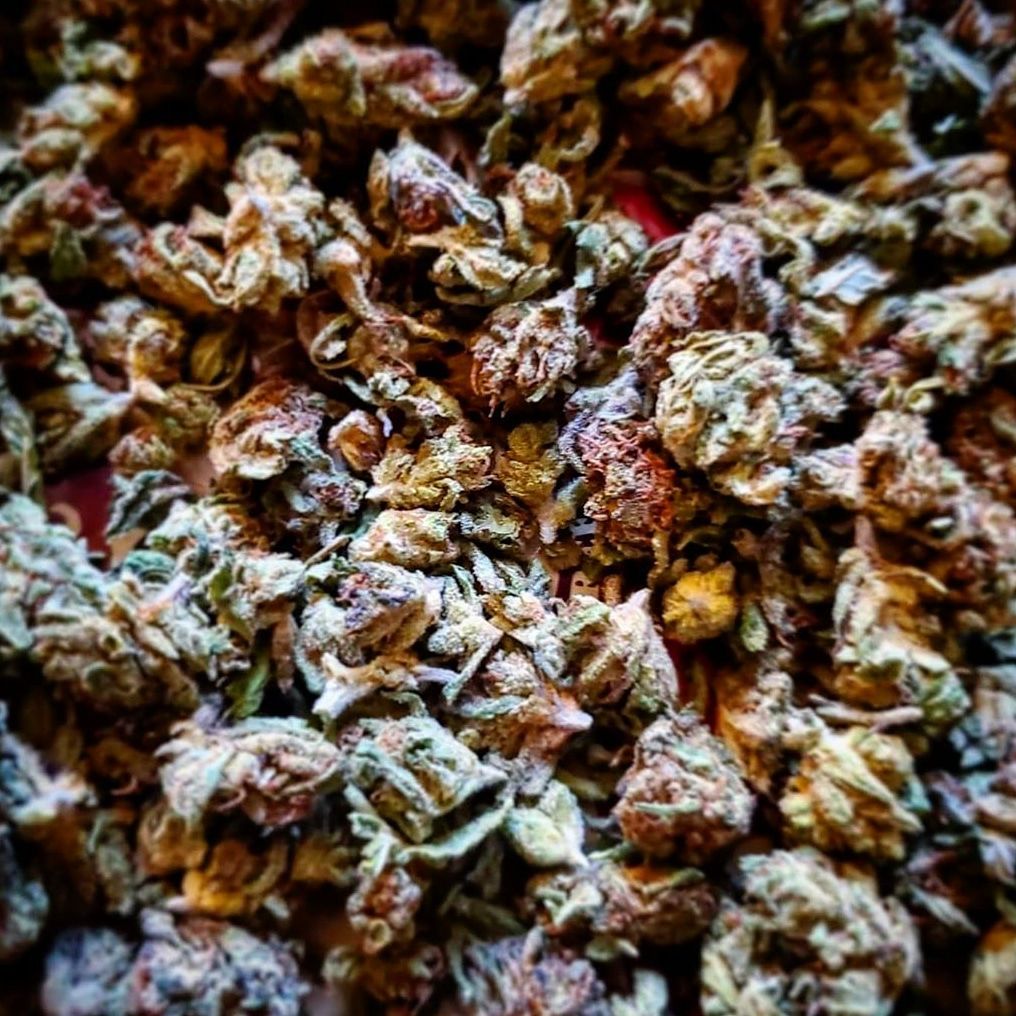 tryplainjane's tweet photo. Grab a bowl of small buds and watch Netflix. #tryplainjane #cbd #hemp #cannabiscommunity #cannabinoid #cbdlife #covid_19 #quarantine https://t.co/GDeKjKdc4Q