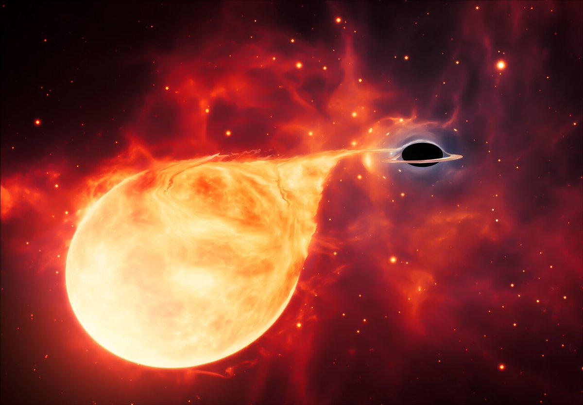 HUBBLE_space's tweet photo. New data from the NASA/ESA Hubble Space Telescope provided the strongest evidence yet for mid-sized black holes in the Universe, a long-sought “missing link” in black hole evolution. 
Illustration credit: @NASA / @ESA , @ESO , M. Kornmesser
https://t.co/RT132vHlGq https://t.co/JQxGW4vTHj