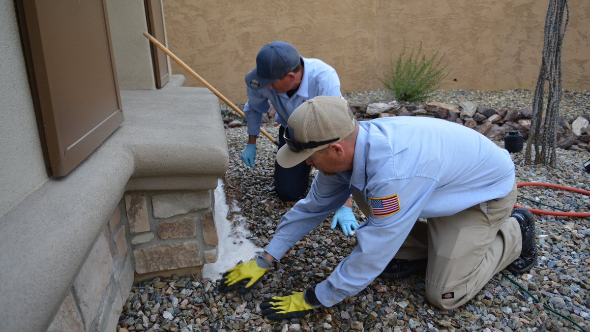 Termites cause more than $5 billon each year in property damage. Protect your home (and your wallet) today by scheduling a FREE termite inspection with our team. bit.ly/38M6NFg