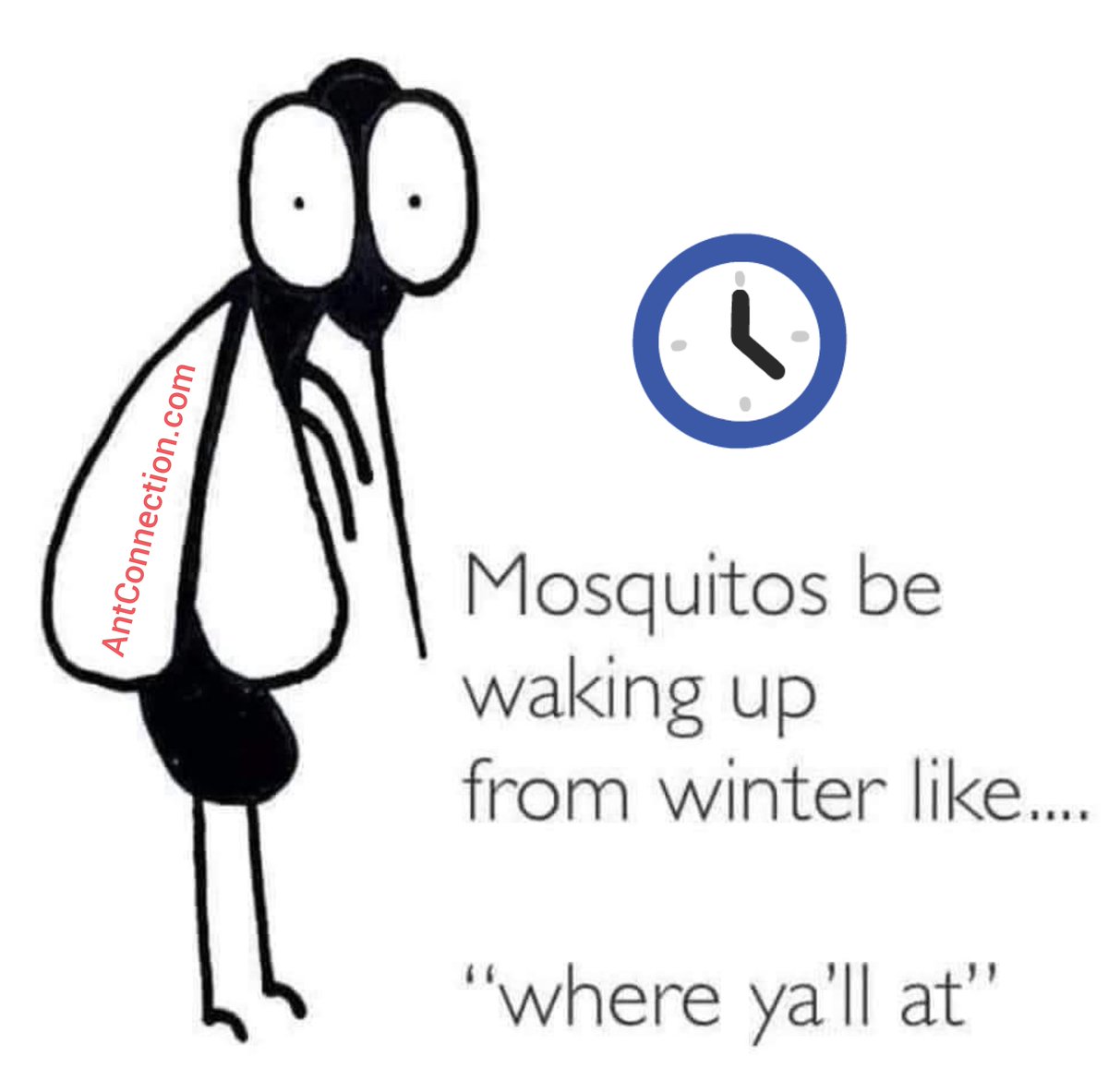 ant_connection tweet picture