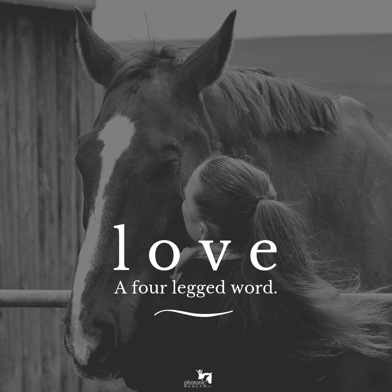PhotonicHealth's tweet photo. Who has been getting to spend some extra time with their horse? ๐ด
.
.
.
#horselife #love #horselover #howiquarantine #photonichealth #lighttherapy #redlighttherapy #equine #equestrian #lightheals https://t.co/cxxHbGcqFY