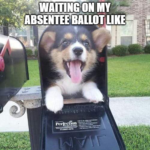 Submitted your absentee request? nothing left to do but wait!