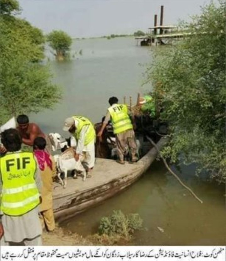 33rcOKSeF9afCRc's tweet photo. عمران خان صاحب ٹائیگر فورس پہ پیسے لگانے کی بجائے ان سے پابندیاں اٹھا لو. پھر دیکھو................ 
#FreeHafizSaeed
#FreeFIF https://t.co/B8onXl2QOu