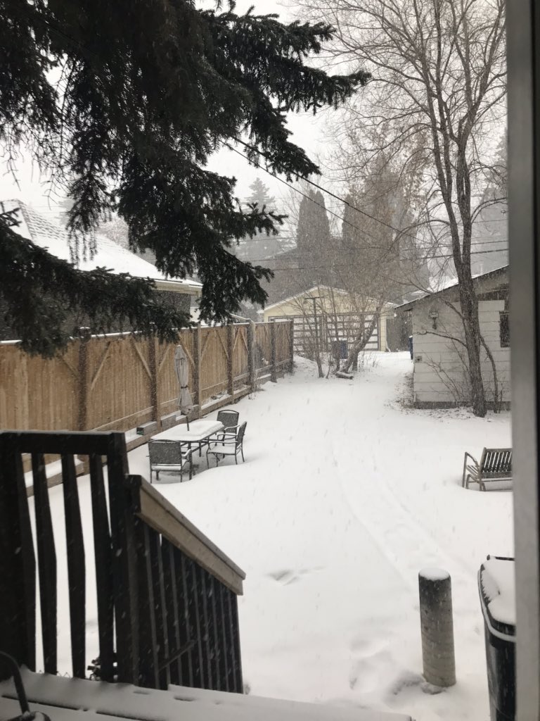 deirdrestatham's tweet photo. Woke up because I was sweating buckets. Went and shut off the furnace. It’s spring! Then I looked outside... fricken snowstorm. #YXE #SaskatchewanSpring https://t.co/QUOYsjo34O