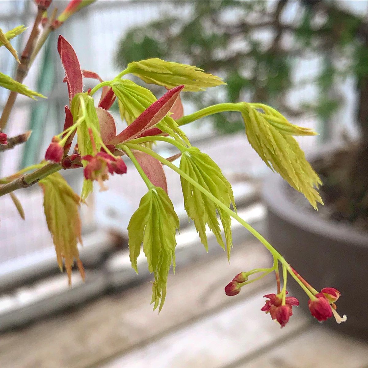 Dave Castro tweet media